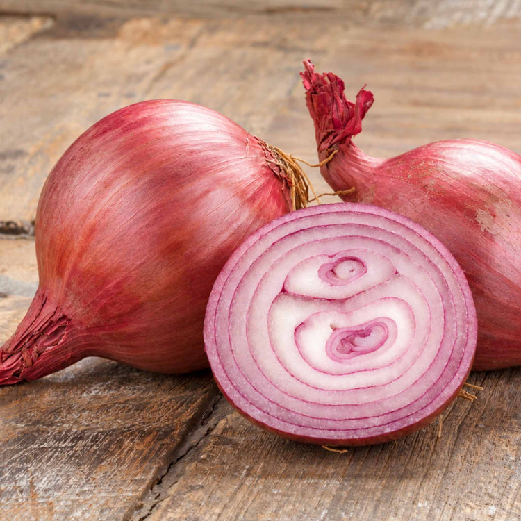 Onion ‘Rosanna’ Heat Prepared (Spring Planting)