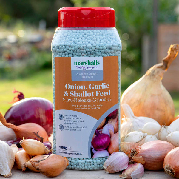 Concentrated Slow Release Onion, Garlic & Shallot Feed Granules
