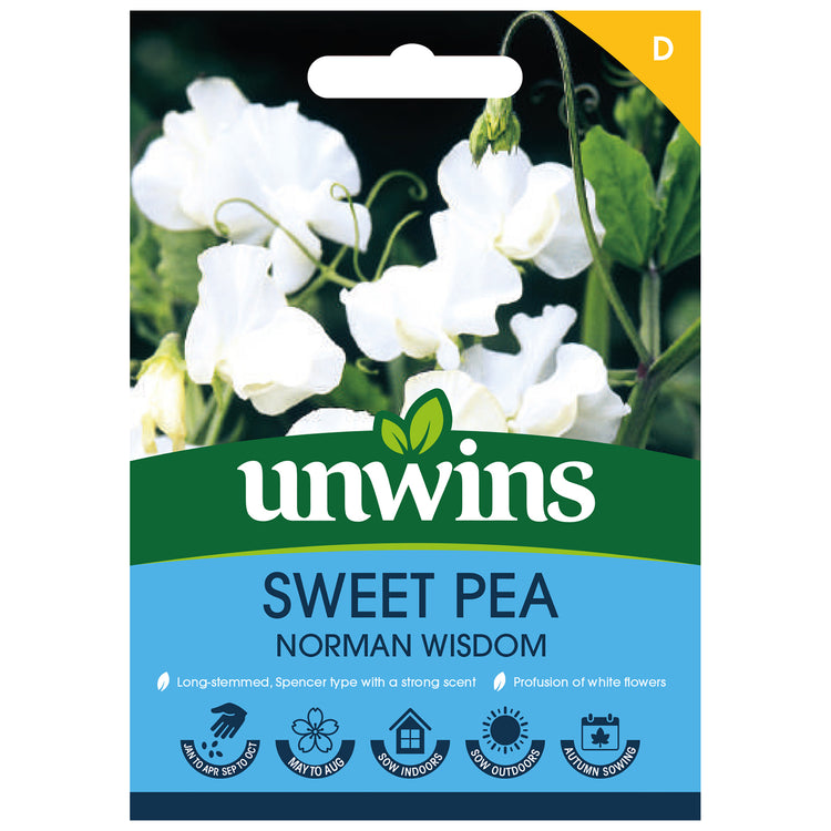 Sweet Pea Seeds 'Norman Wisdom'