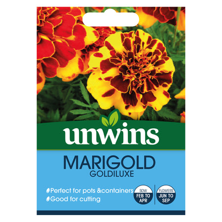 French Marigold Seeds 'Goldiluxe'