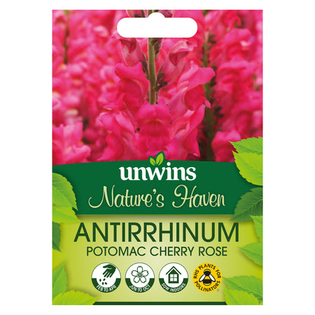 Antirrinum Seeds 'Potomac Cherry Rose'