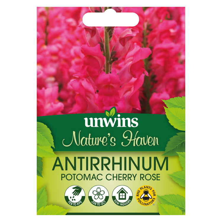 Antirrinum Seeds 'Potomac Cherry Rose'