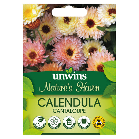 Calendula Seeds 'Cantaloupe'