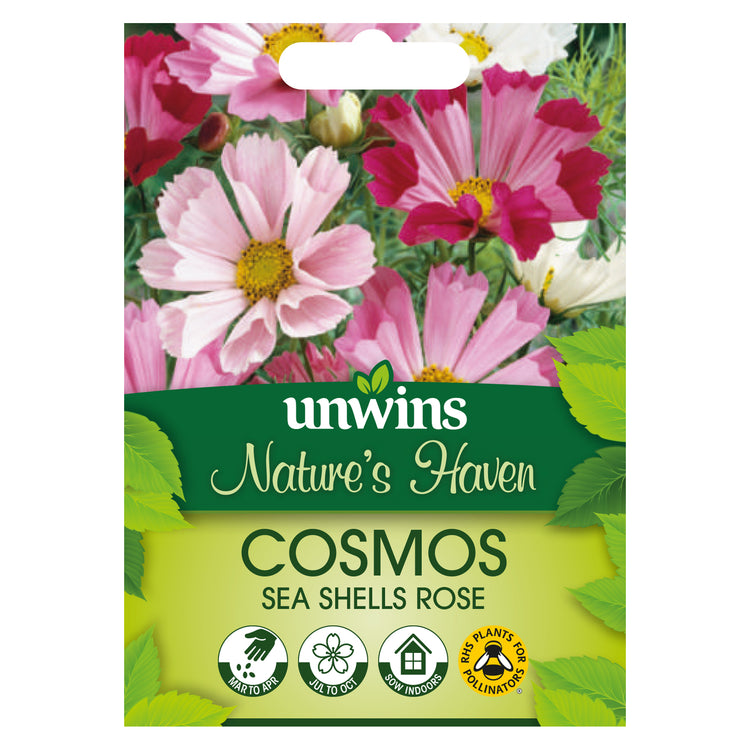 Cosmos Seeds 'Sea Shells Rose'