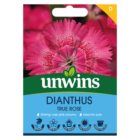 Dianthus Seeds 'True Rose'