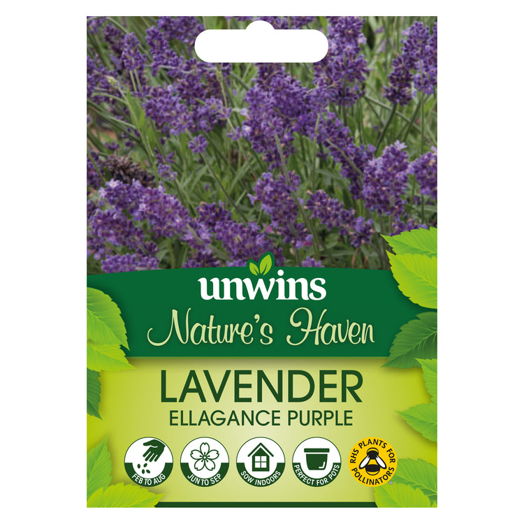 Lavender Seeds 'Ellagance Purple'