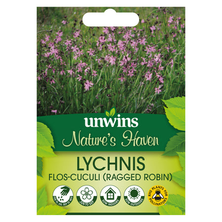 Lychnis Seeds 'Ragged Robin'