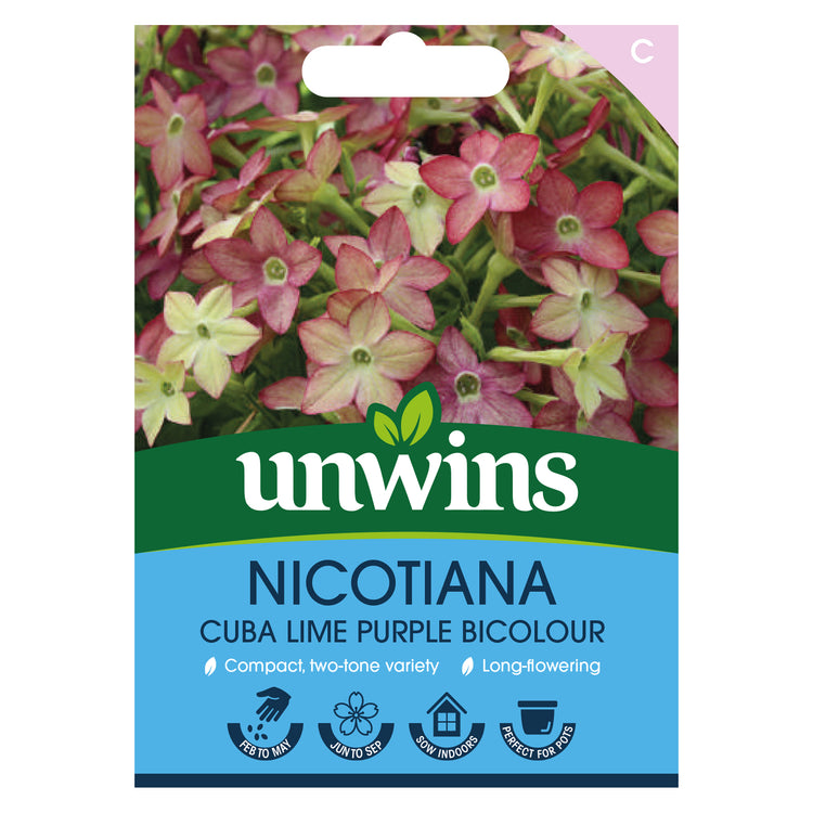 Nicotiana Seeds 'Cuba Lime Purple Bicolour'