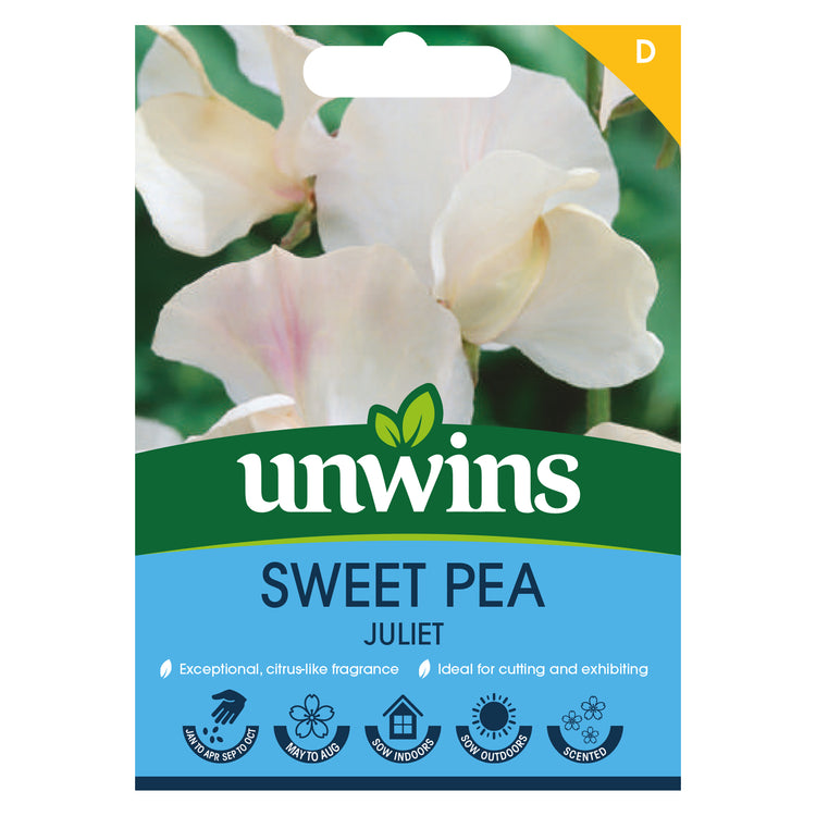 Sweet Pea Seeds 'Juliet'