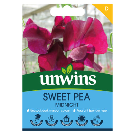 Sweet Pea Seeds 'Midnight'