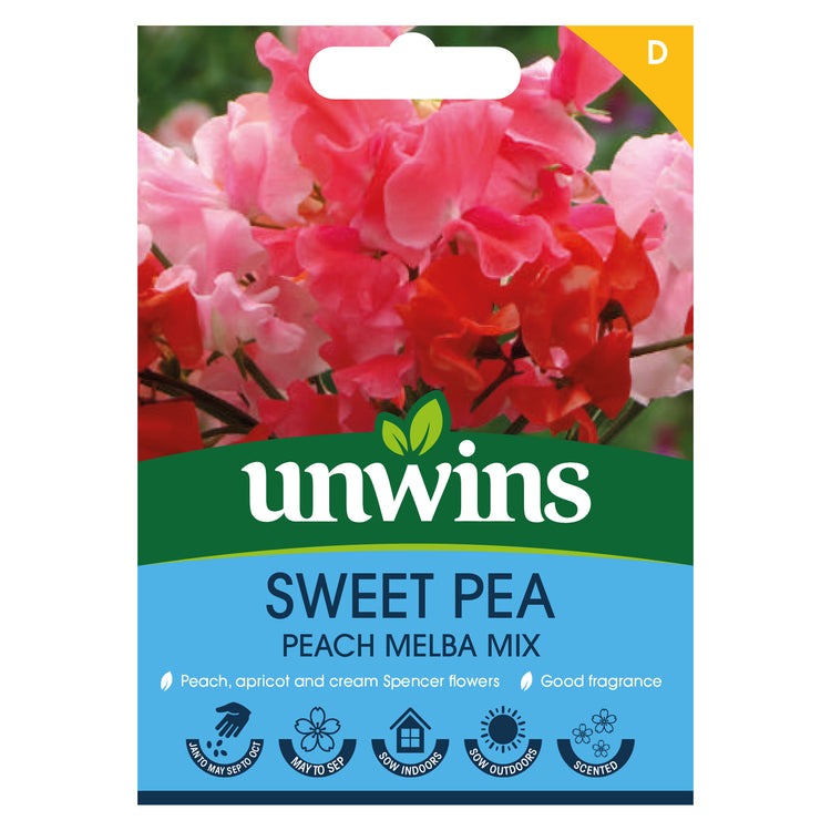 Sweet Pea Seeds 'Peach Melba Mix'