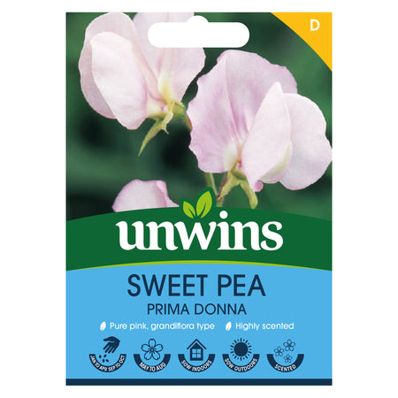 Sweet Pea Seeds 'Prima Donna'