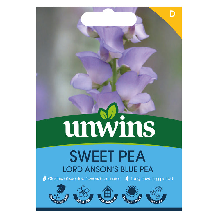 Sweet Pea Seeds 'Lord Ansons Pea Seeds'