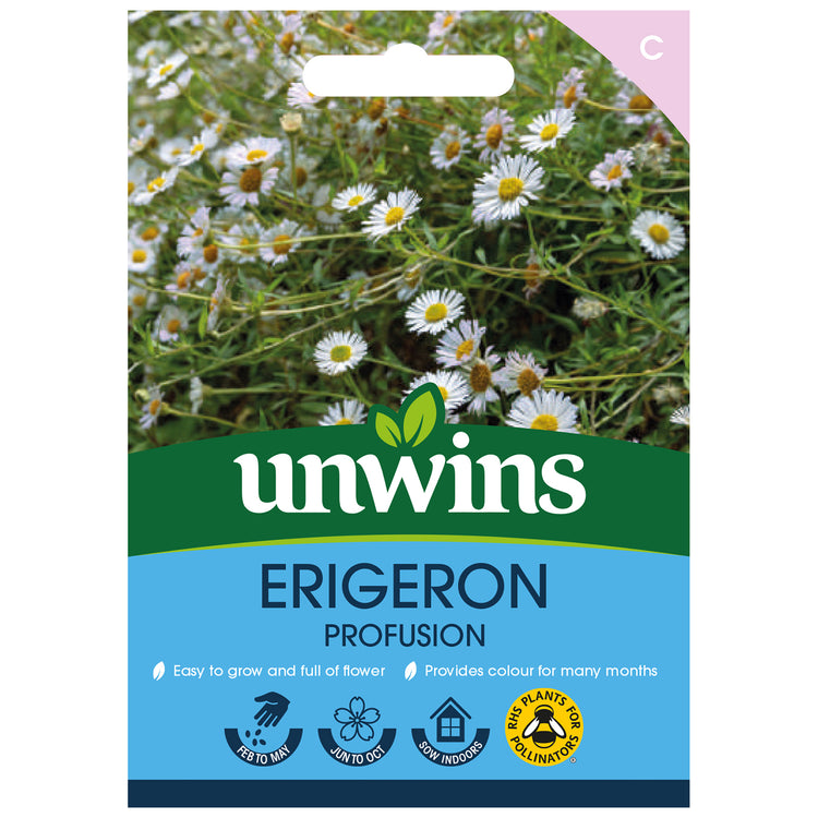 Erigeron Seeds 'Profusion'