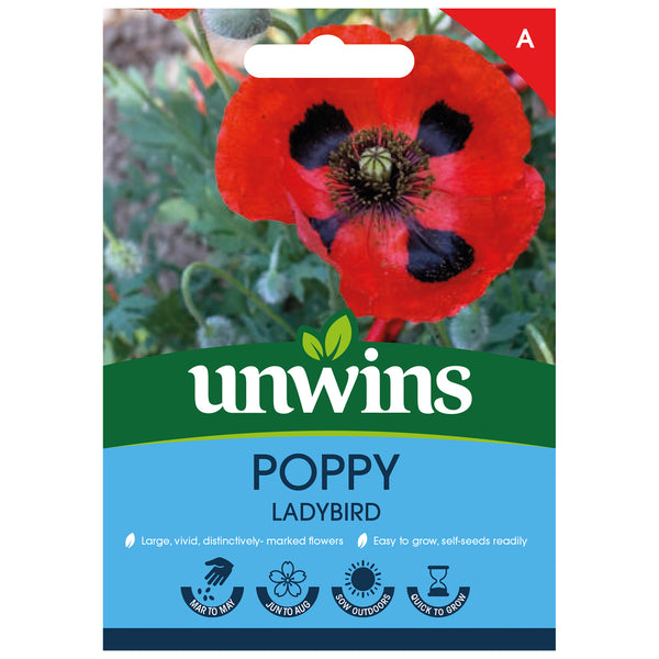 Poppy Seeds 'Ladybird'