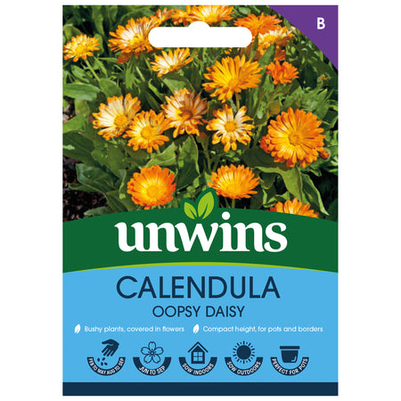 Calendula Seeds 'Oopsy Daisy'