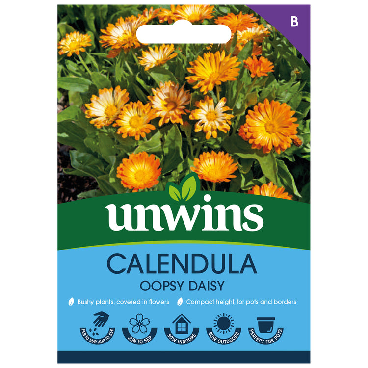 Calendula Seeds 'Oopsy Daisy'