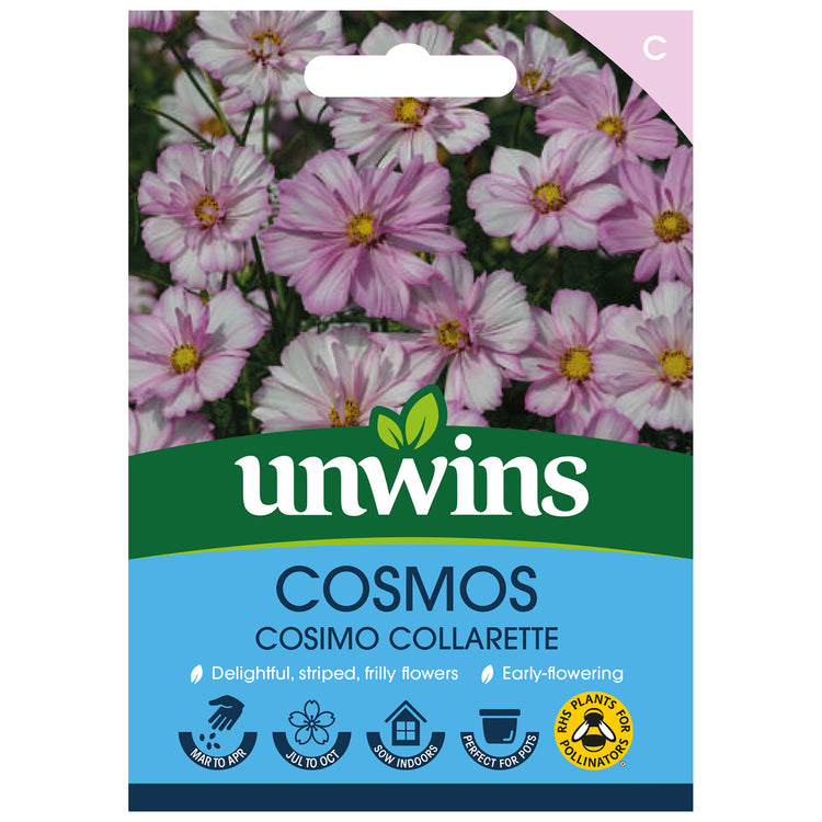 Cosmos Seeds 'Cosimo Collarette'