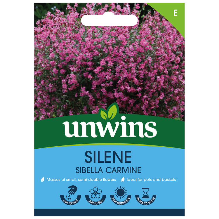 Silene Seeds 'Sibella Carmine'