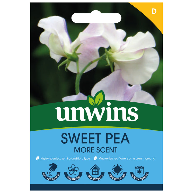 Sweet Pea Seeds 'More Scent'