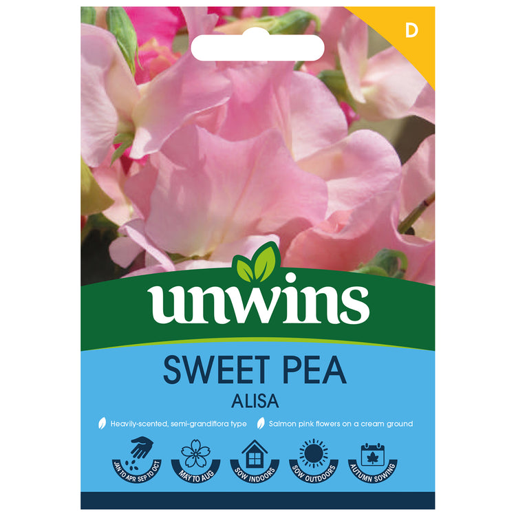 Sweet Pea Seeds 'Pea Alisa' Seeds