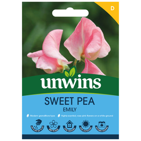 Sweet Pea Seeds 'Emily'