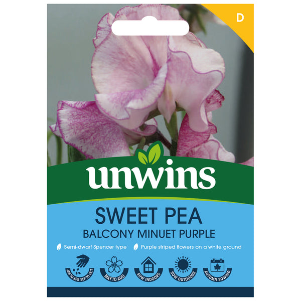 Sweet Pea Seeds 'Balcony Minuet Purple'