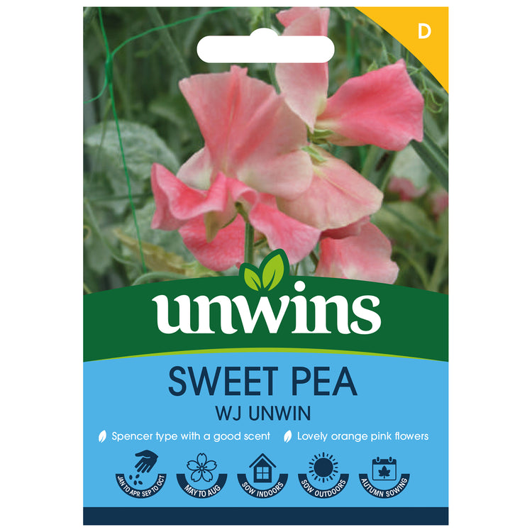 Sweet Pea Seeds 'WJ Unwin'