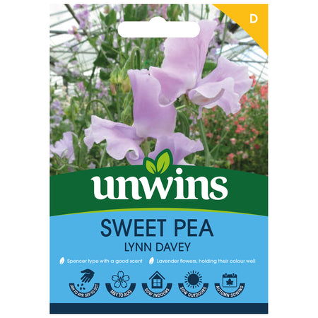 Sweet Pea Seeds 'Lynn Davey'