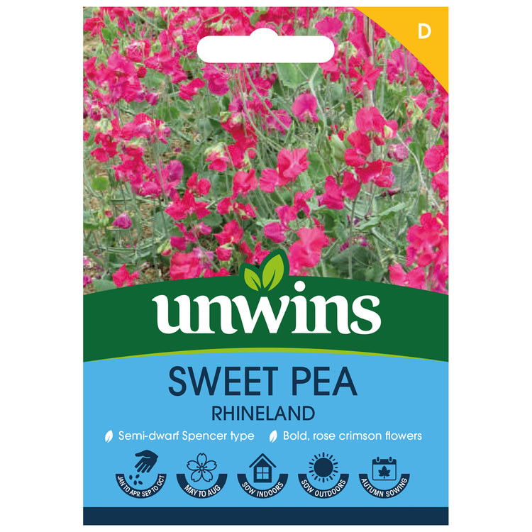 Sweet Pea Seeds 'Rhineland'