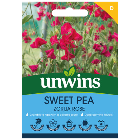 Sweet Pea Seeds 'Zorija Rose'