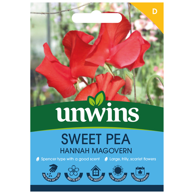 Sweet Pea Seeds 'Hannah Magovern'