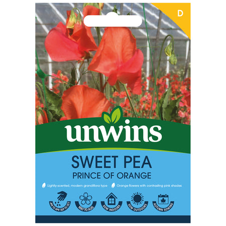 Sweet Pea Seeds 'Prince Of Orange'