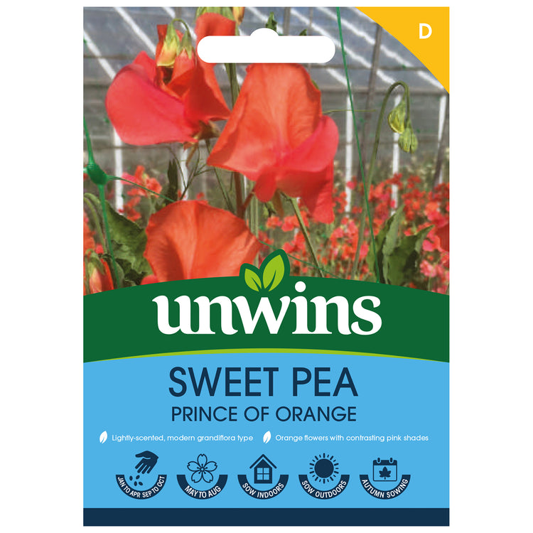 Sweet Pea Seeds 'Prince Of Orange'