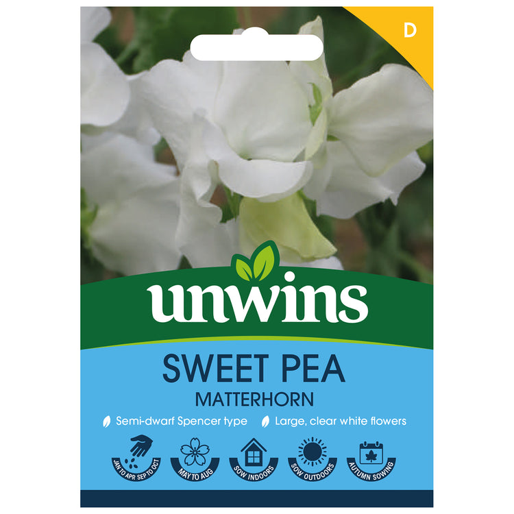 Sweet Pea Seeds 'Matterhorn'