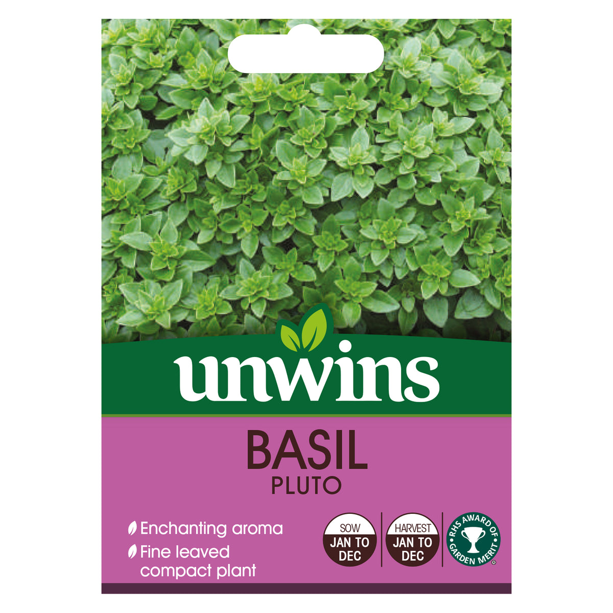 Basil Seeds 'Pluto' Buy Basil Seeds Online Basil Seeds for Sale Marshalls Garden