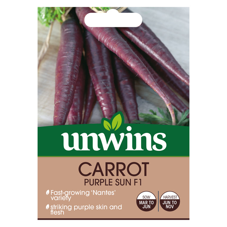 Carrot Seeds 'Purple Sun'