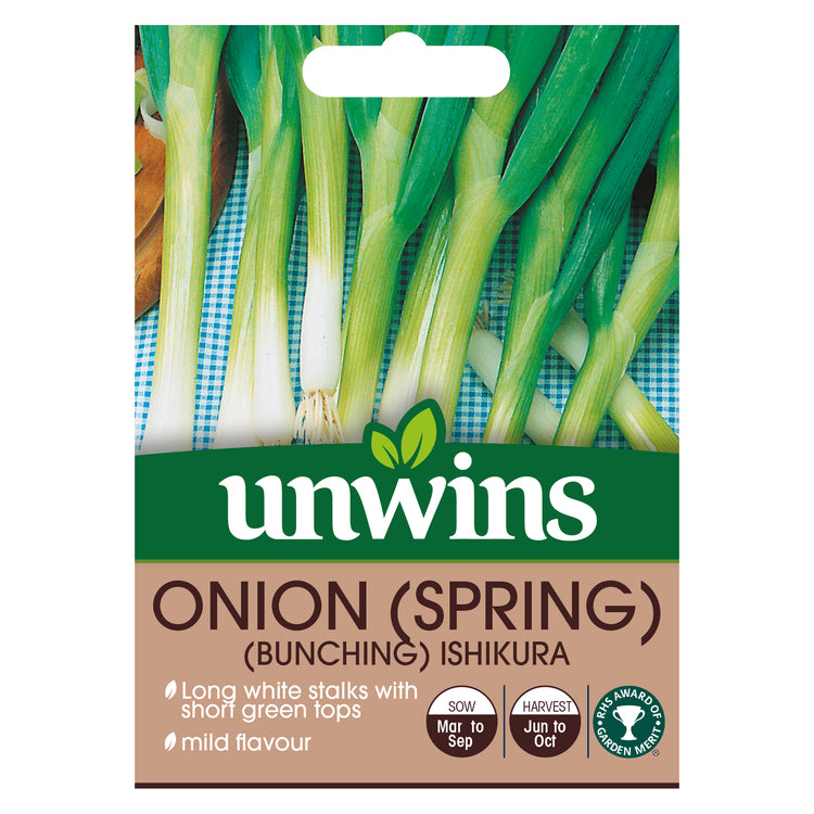 Spring Onion Seeds 'Ishikura'