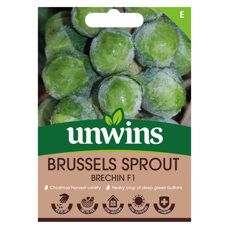 Brussels Sprout Seeds 'Brechin' F1