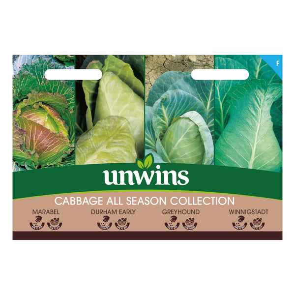 Cabbage Seeds 'All Season' Collection