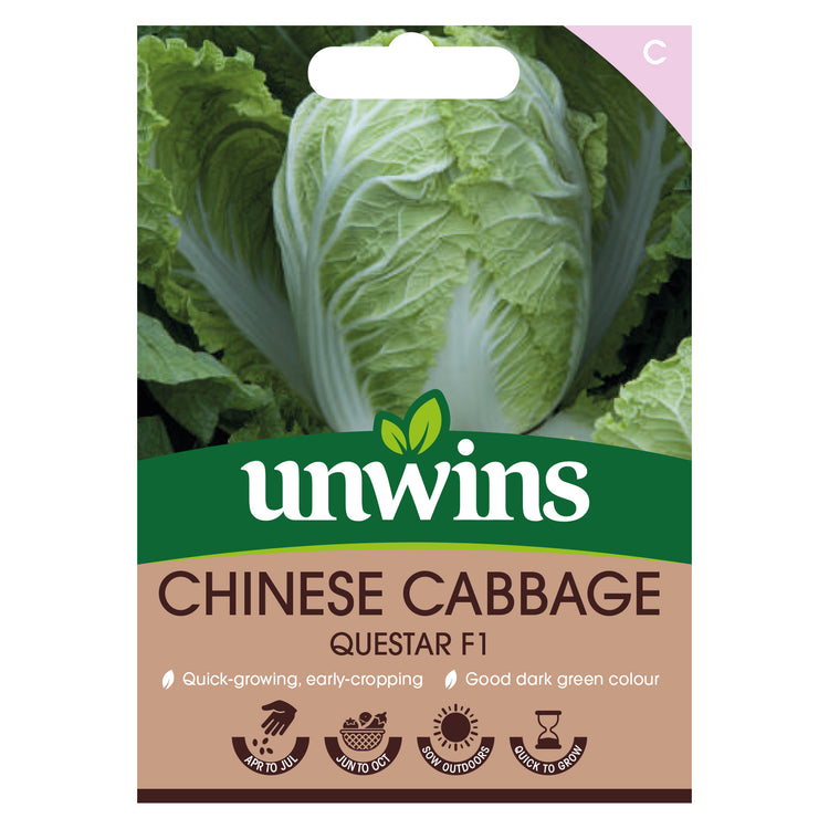 Chinese Cabbage Seeds 'Questar' F1