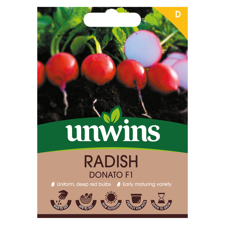 Radish Seeds 'Donato' F1