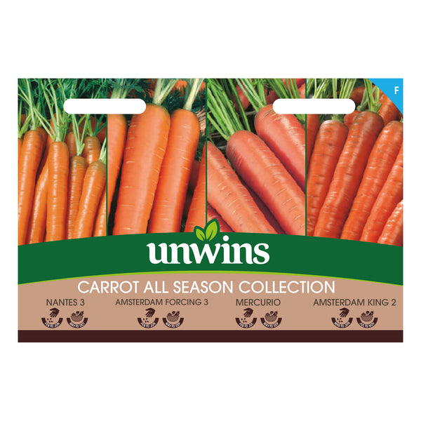 Carrot Seeds 'All Season' Collection