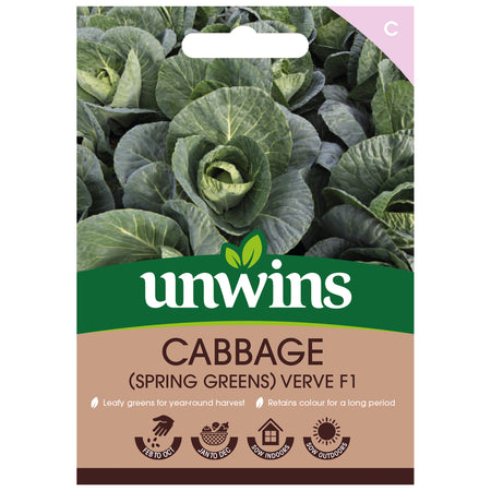 Cabbage Seeds 'Verve' F1