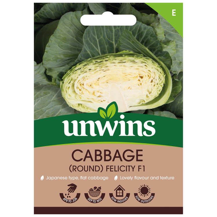 Cabbage Seeds 'Felicity' F1