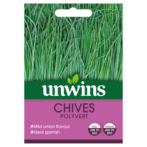 Chives Seeds 'Polyvert'