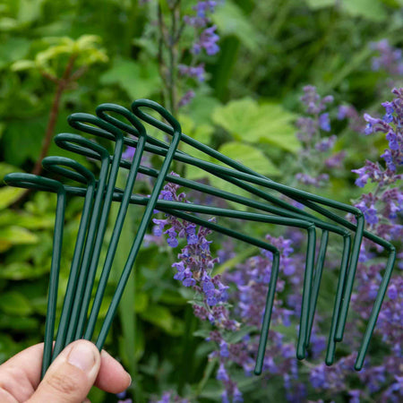 Plant Link Supports 45cm x 12