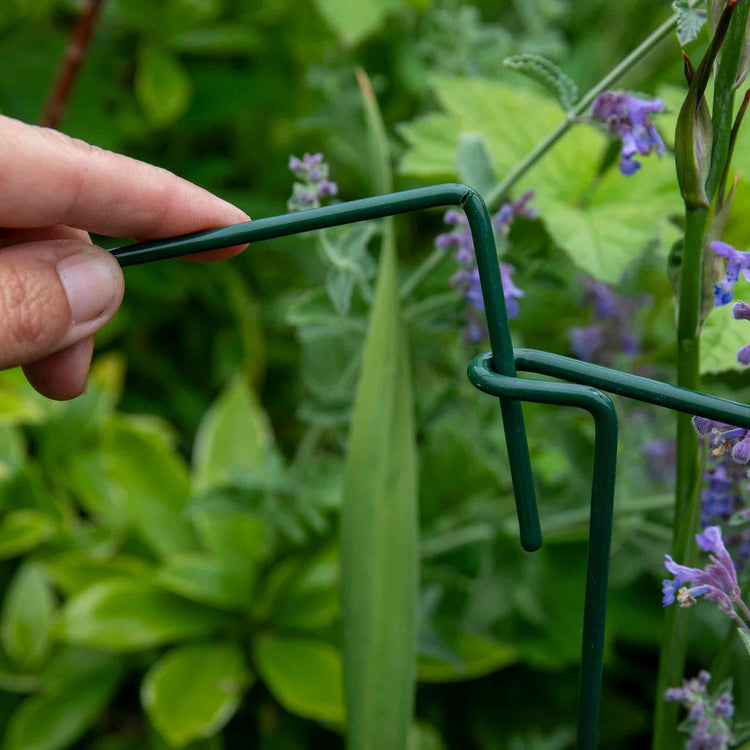 Plant Link Supports 45cm x 12