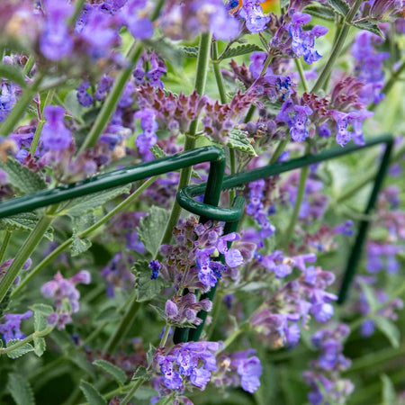 Plant Link Supports 45cm x 12