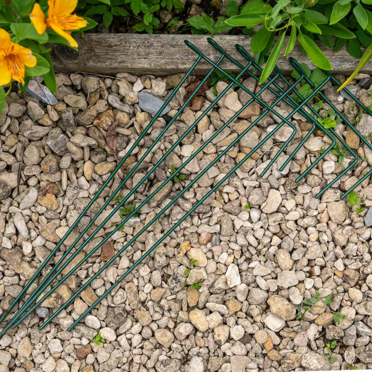 Plant Link Supports 45cm x 12